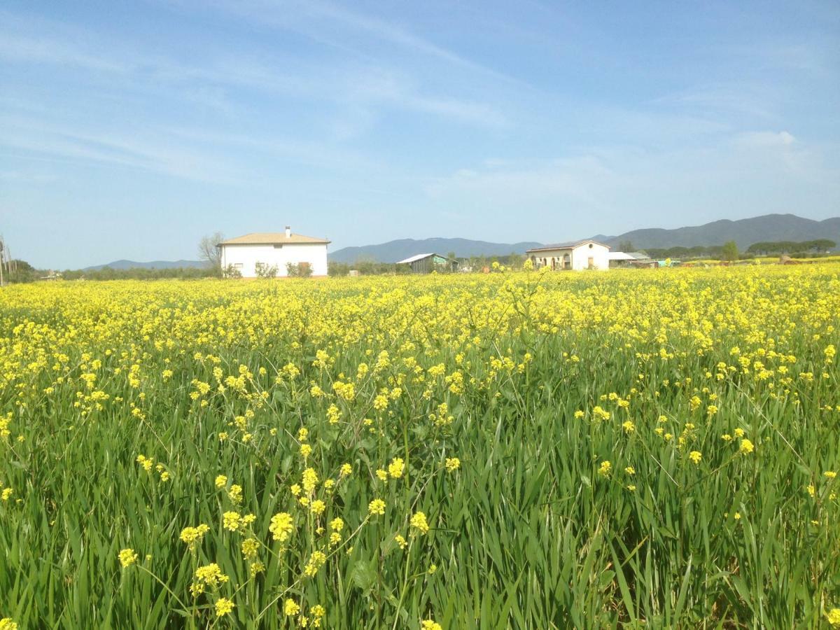 Il Grano Di Bramante Βίλα Marrucheto Εξωτερικό φωτογραφία